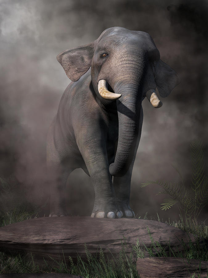 Elephant Digital Art by Daniel Eskridge - Fine Art America