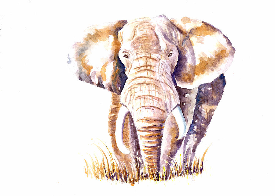 Elephant Painting by Debra Hall