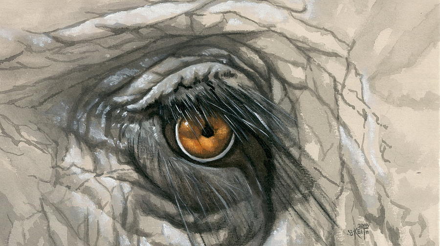 Elephant Eye Painting by Barbara Keith