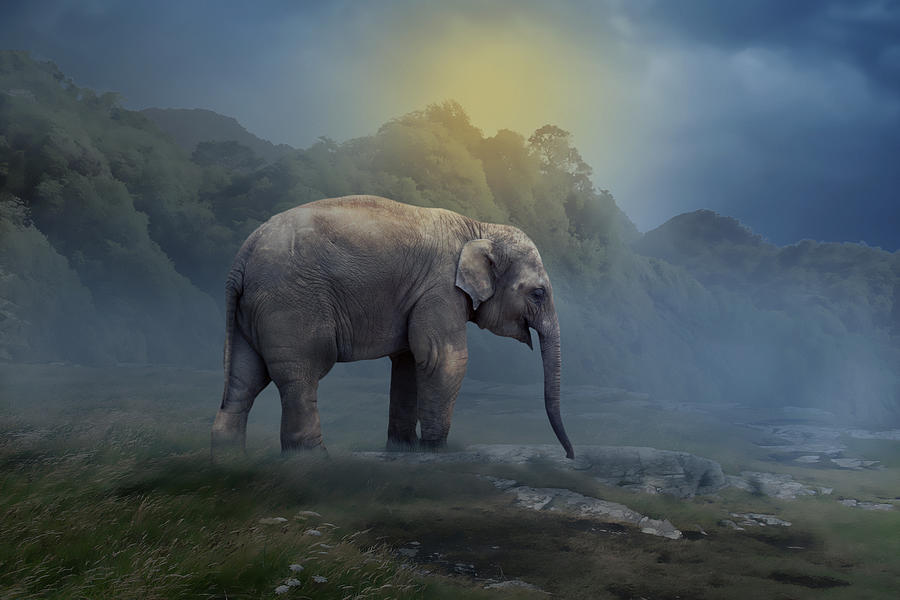 Elephant Fantasy Mixed Media by Marvin Blaine