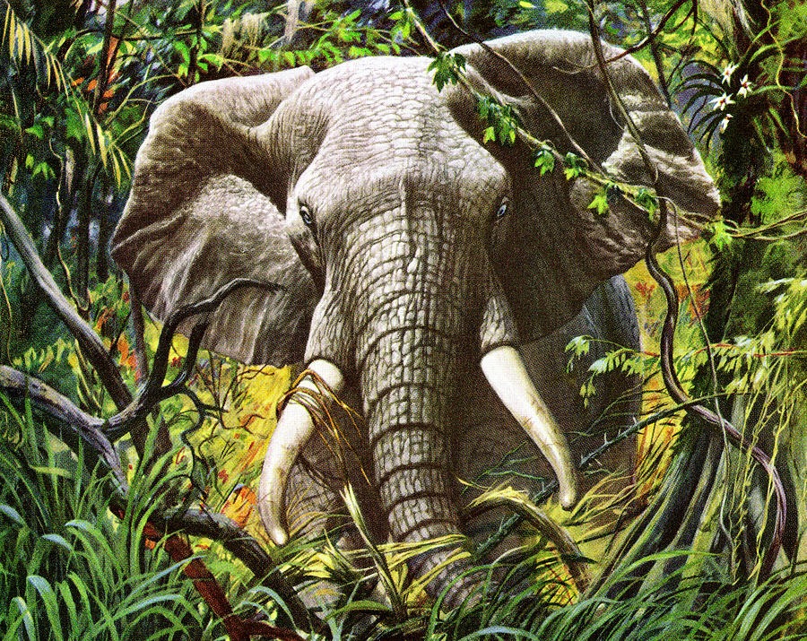 jungle elephant