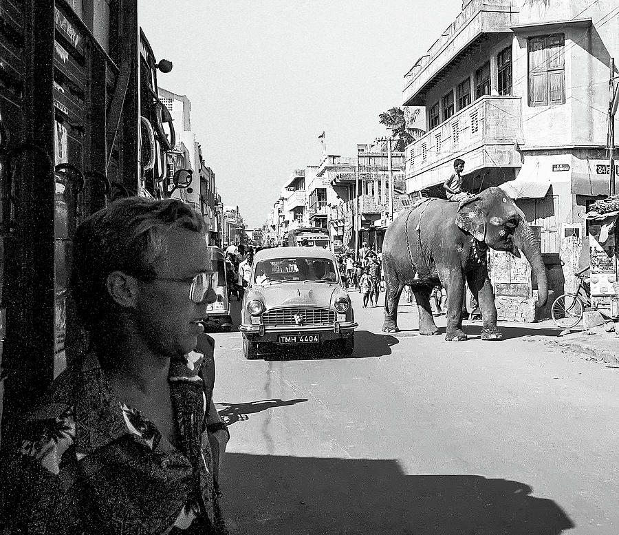 Elephant in the Street and Gary. India by Pete Hendley Elephant in the Street and Gary. India by Pete Hendley
