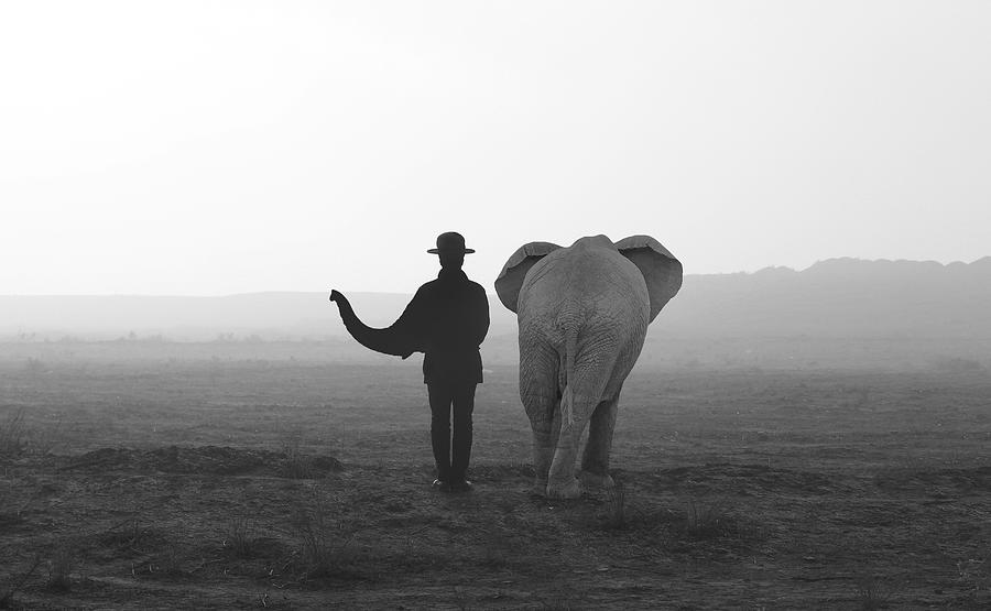 Elephant Man Photograph by Ghazale Ghazanfari