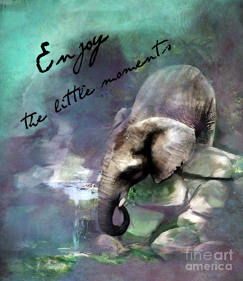 Elephant Moment With Text Digital Art