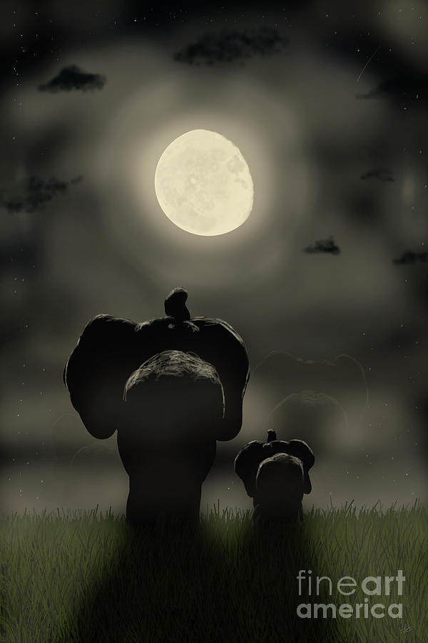 Elephant Moon by the Ford Family Elephant Moon by the Ford Family