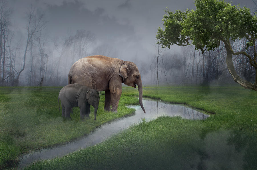 Elephant Mixed Media - Elephant Paradise by Marvin Blaine