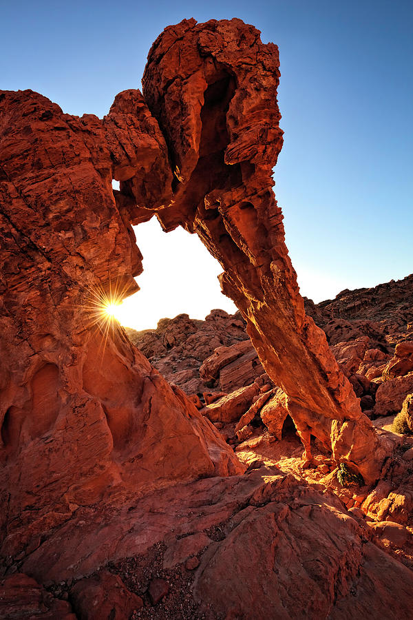 Elephant Rock In The Valley Of Fire Photograph by John Wang