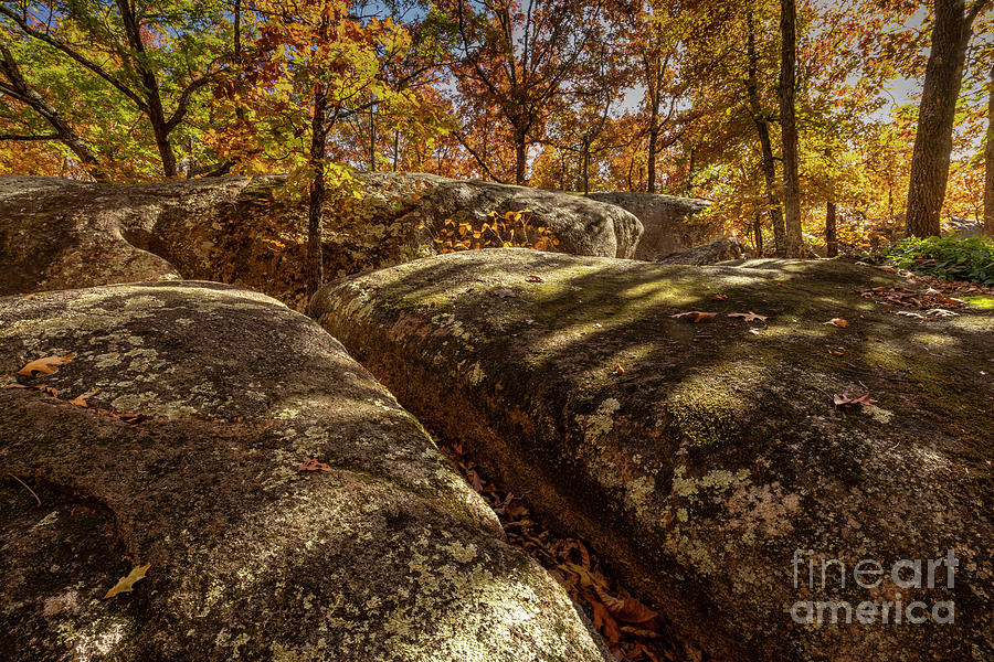Elephant Rocks and Oak Trees  Photograph by Garry McMichael
