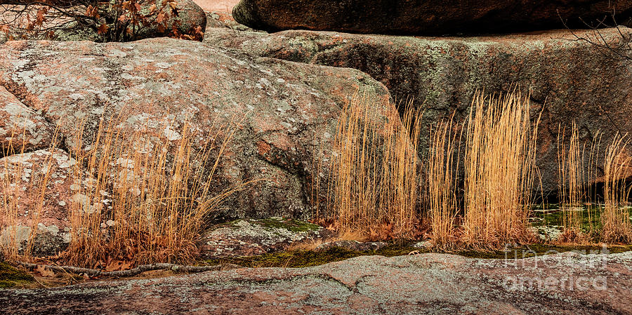 Elephant Rocks Grasses Photograph by Garry McMichael