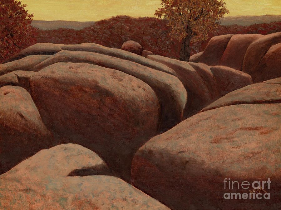 Elephant Rocks, November Browns Painting by Garry McMichael