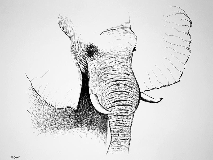 Grey Ivory Paper Elephant sketch with charcoal and graphite pencil, Size: A3