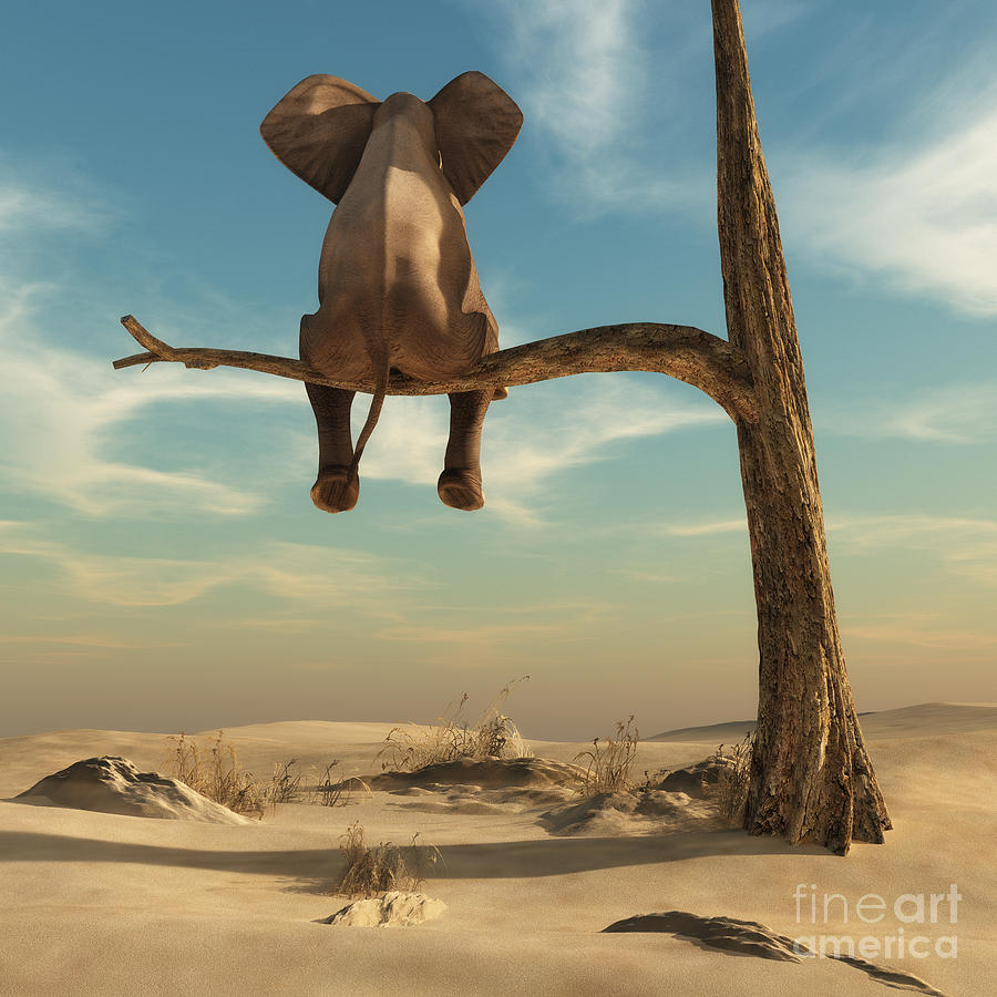 Harmony Digital Art - Elephant Stands On Thin Branch by Orla Harmony Digital Art - Elephant Stands On Thin Branch by Orla
