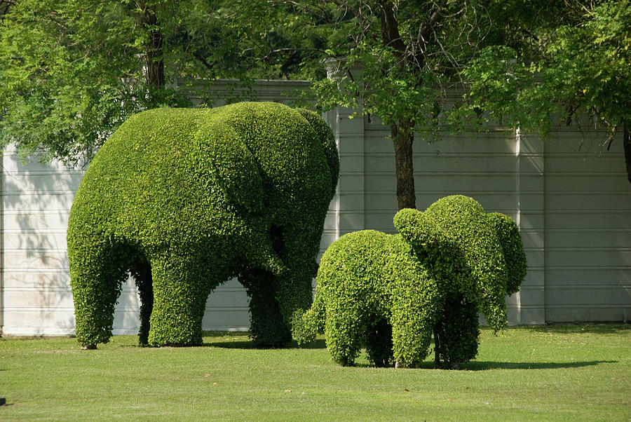 Nature Photograph - Elephant Topiaries On The Grounds by Panoramic Images