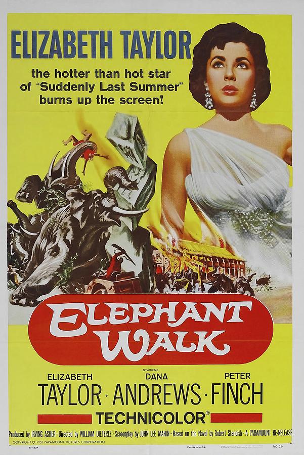 Elephant Walk -1954-. Photograph by Album