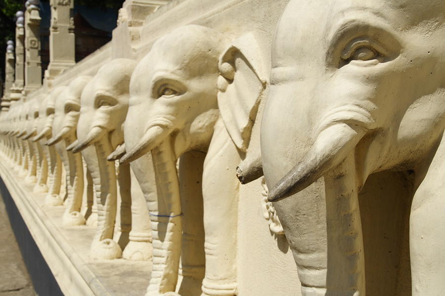 Elephant Wall Photograph by Ewenjc Elephant Wall Photograph by Ewenjc