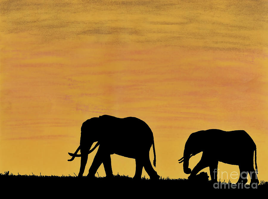 Elephants - At - Sunset Drawing by D Hackett