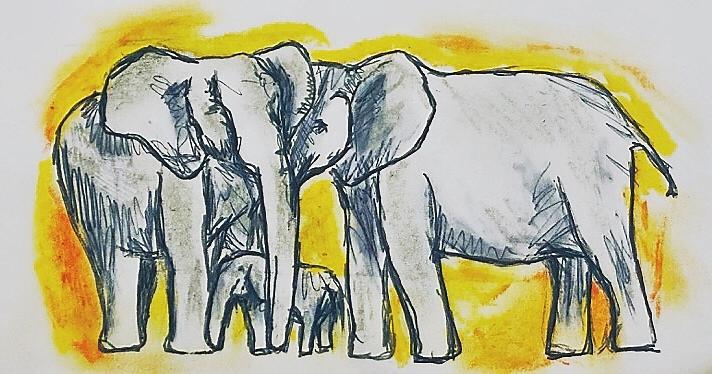 Elephants Drawing by Emma Jane Buresh guest artist