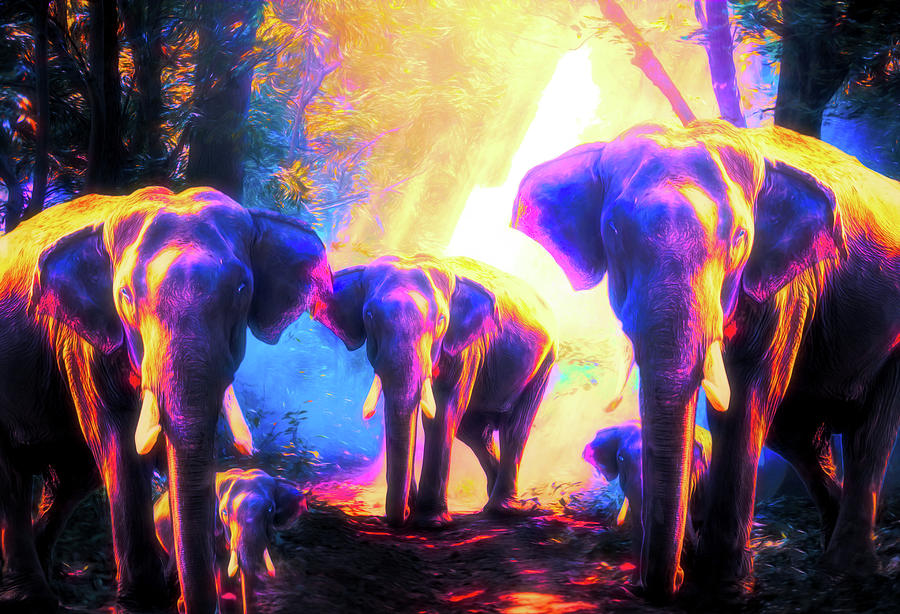 Wild Digital Art - Elephants Family by Jasmina Seidl Wild Digital Art - Elephants Family by Jasmina Seidl