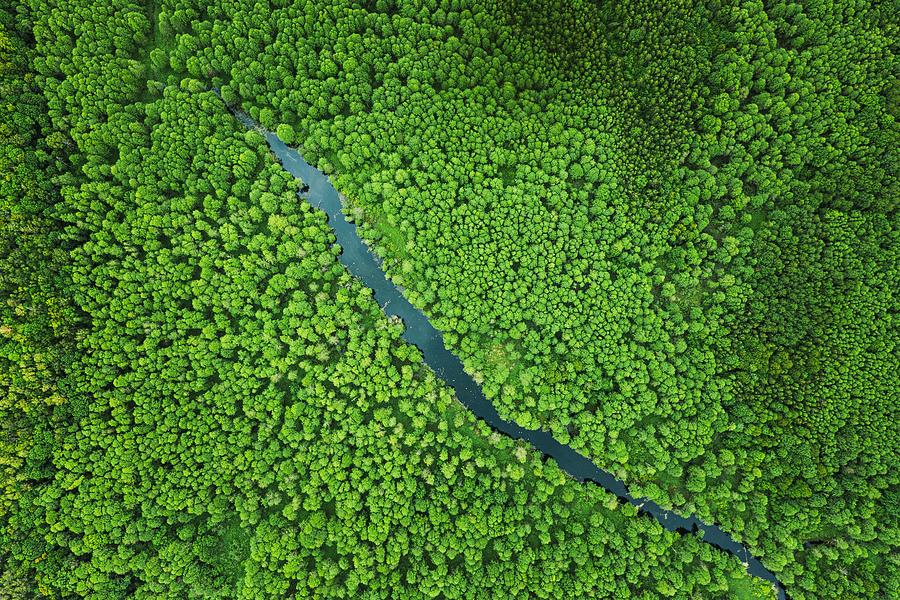 Nature Photograph - Elevated View Of Green Small Bog Marsh by Ryhor Bruyeu