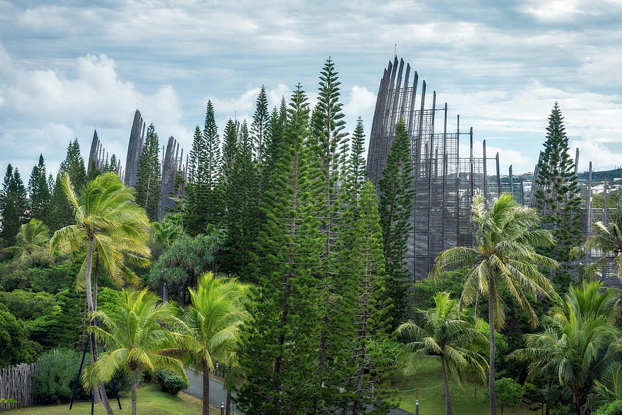 Elevated View of the Tjibaou Cultural Centre in Noumea by Daniela Constantinescu Elevated View of the Tjibaou Cultural Centre in Noumea by Daniela Constantinescu