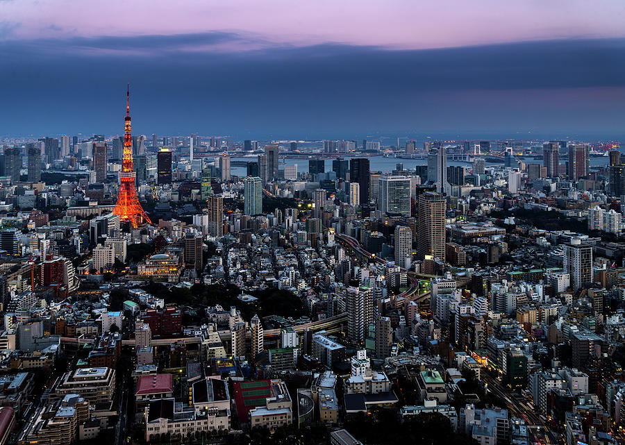 Elevated View Of Tokyo Photograph by Wilfred Y Wong