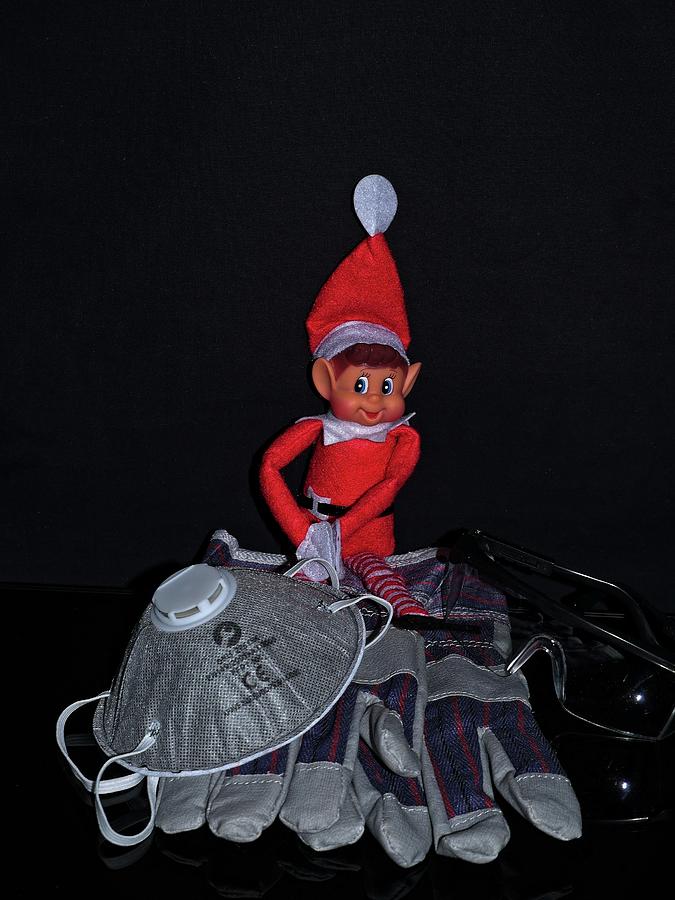 Elf and safety Photograph by Martin Smith
