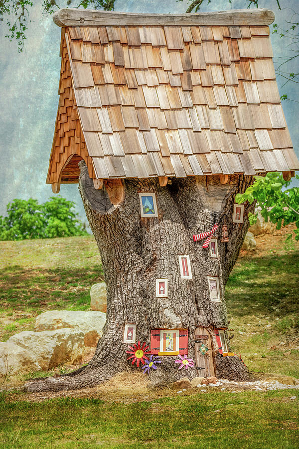 Elf Tree House Photograph by Debra Martz