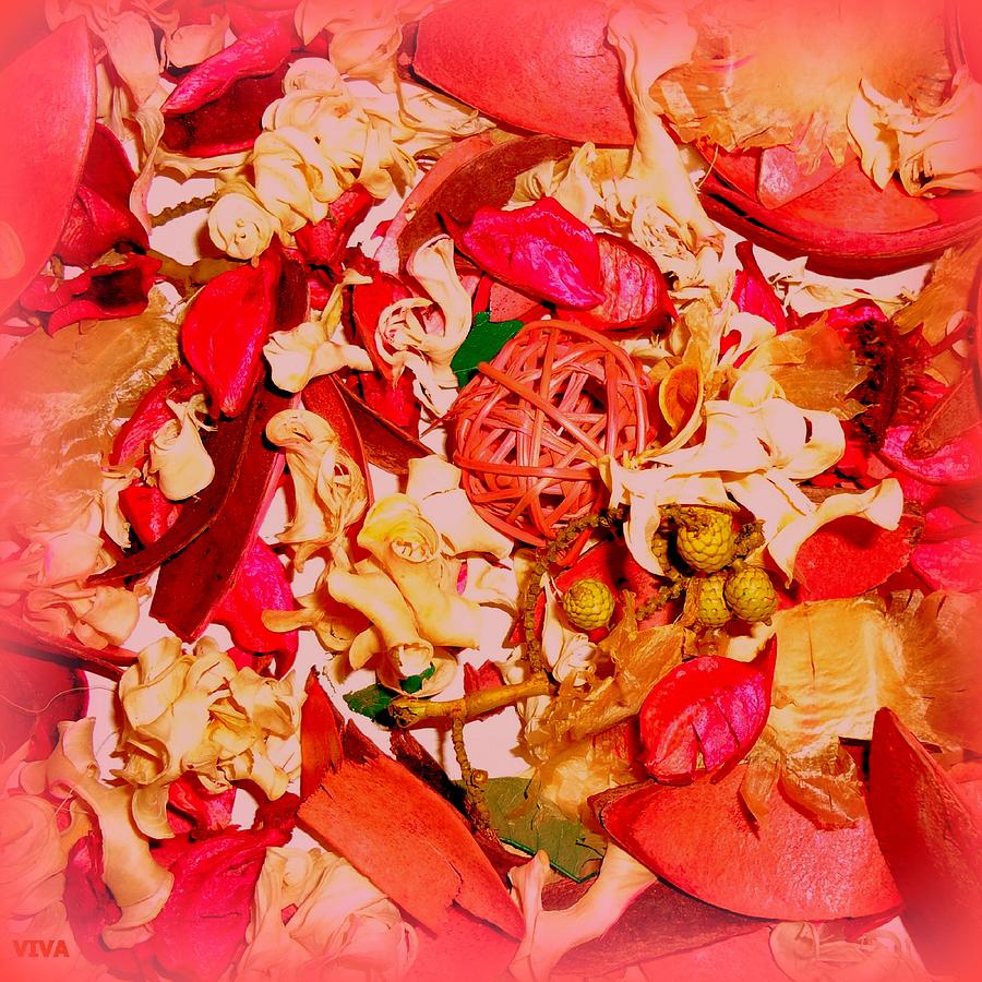 Elixir de l'amour - Potpourri by VIVA Anderson Elixir de l'amour - Potpourri by VIVA Anderson