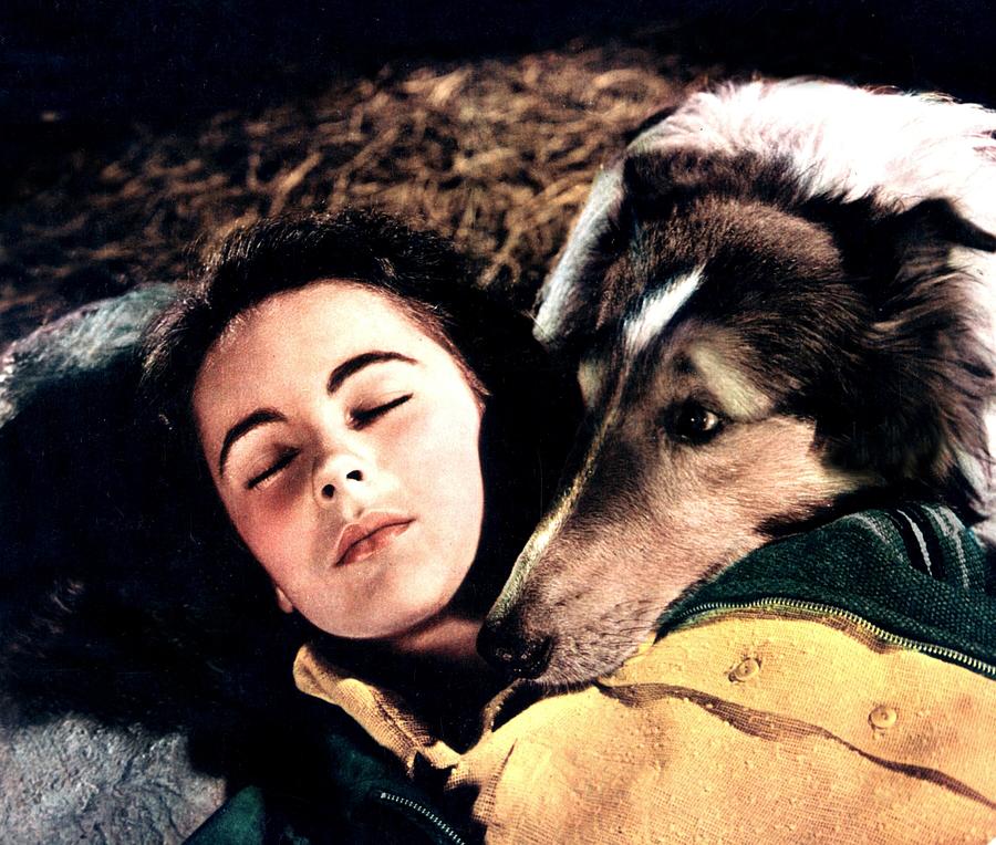 Elizabeth Taylor And Lassie Dog In The Photograph by Api