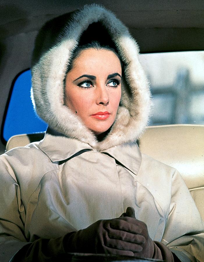 Elizabeth Taylor On The Fillm Set Of Photograph by Api