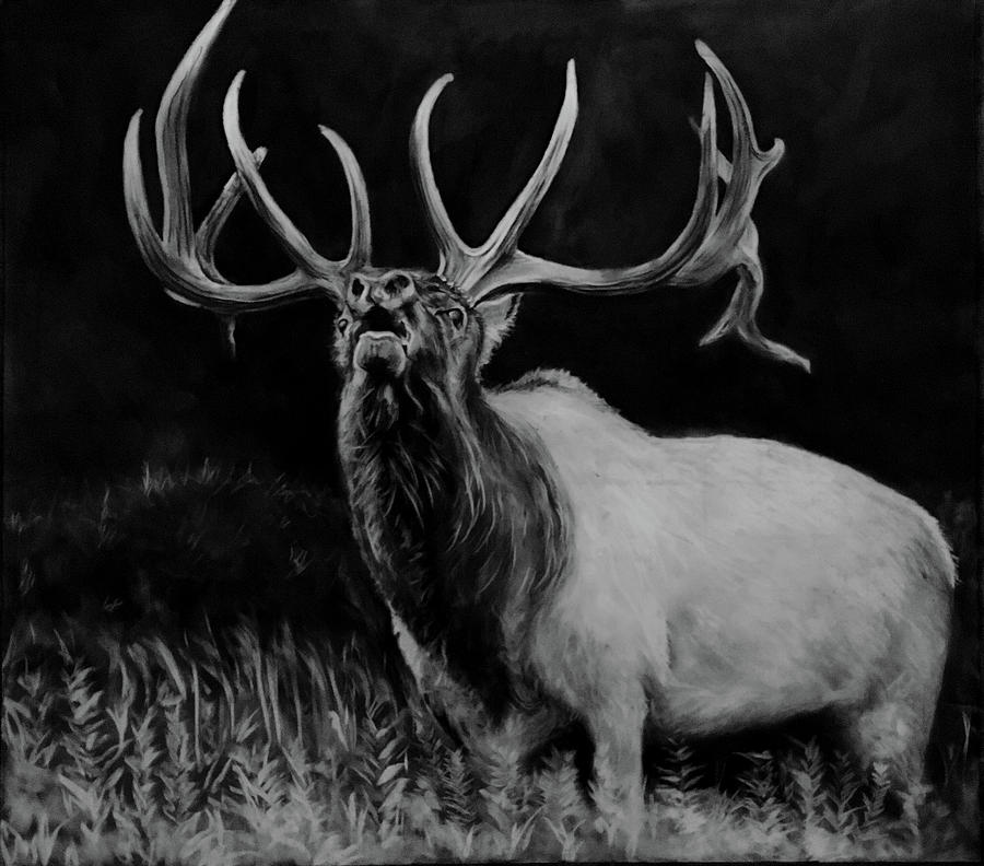 Elk Bugle Drawing by Logan Thomas Fine Art America