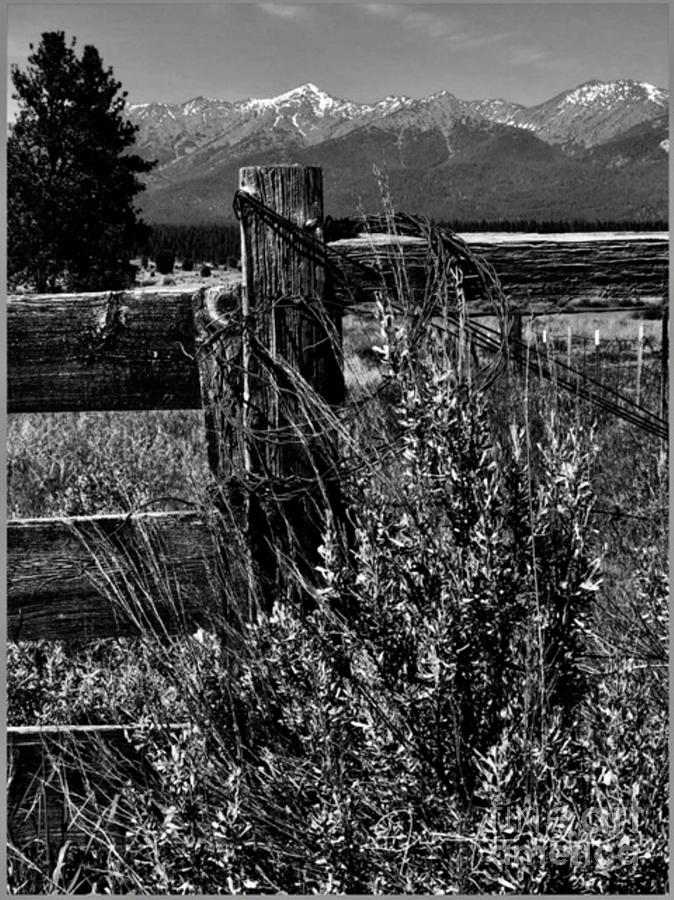Elk Horn Mountain West Photograph by Jennifer Lake