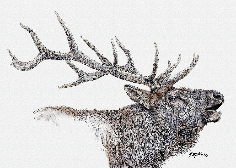 Elk Painting by Kathie Miller