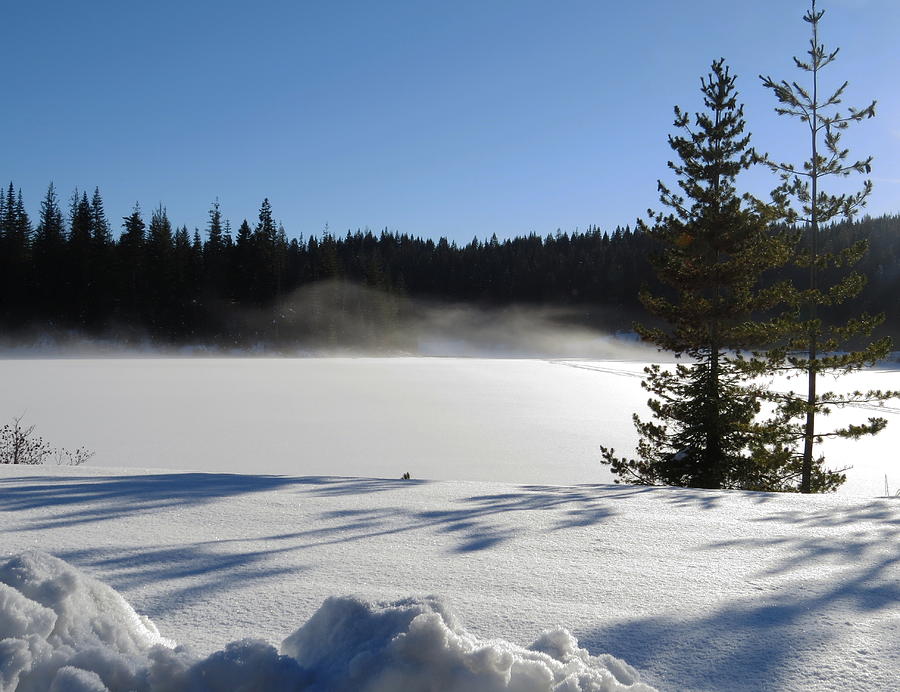 Winter Photograph - Elk River Reservoir by Jean Evans
