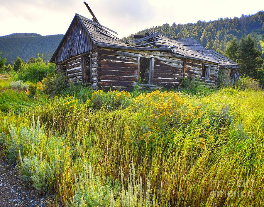 Elkhorn Miners Cabin Photograph by Steve Brown