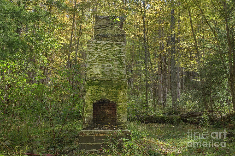 Elkmont Chimney Remains 6 Photograph by Mike Eingle