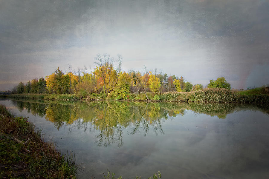 Ellicott Creek Reflections Photograph by Guy Whiteley