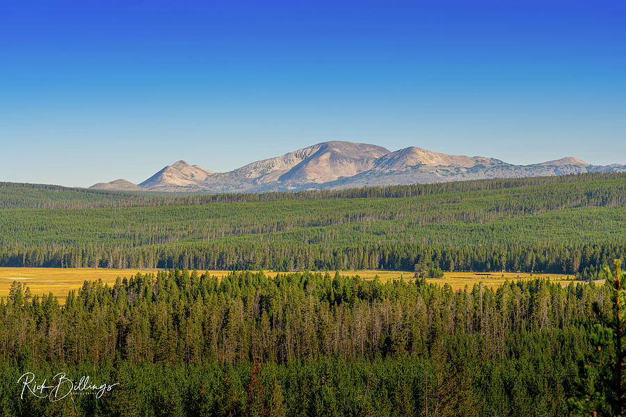 ellowstone Mountain Range No 1081 by Rick Billings ellowstone Mountain Range No 1081 by Rick Billings