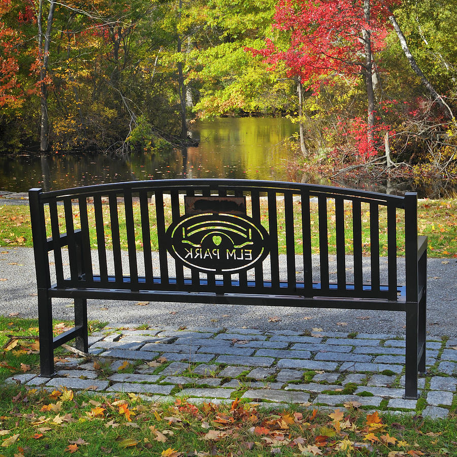 Elm Park Autumn Bench Photograph by Luke Moore