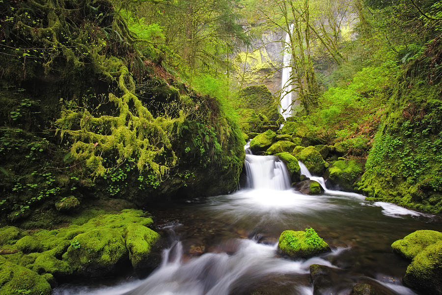 Elowah Falls And Mccord Creek Photograph by Nhpa - Pixels