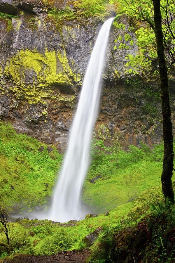 Elowah Falls In Columbia River Gorge Photograph by Design Pics / Craig Tuttle