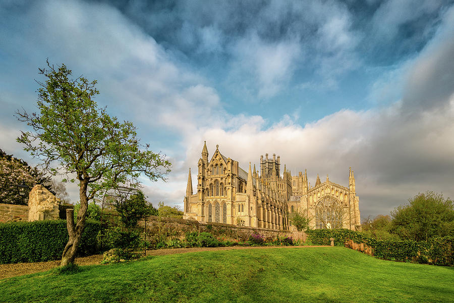 Ely Cathedral, morning view Photograph by James Billings