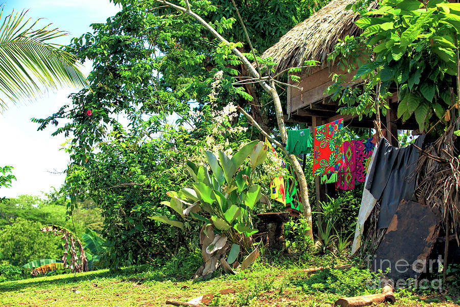 Embera Village Hut in Panama Photograph by John Rizzuto