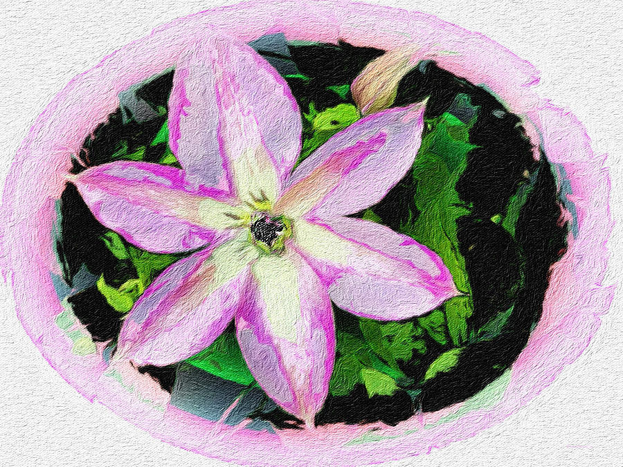 Embroidered Clematis Photograph by Diane Lindon Coy