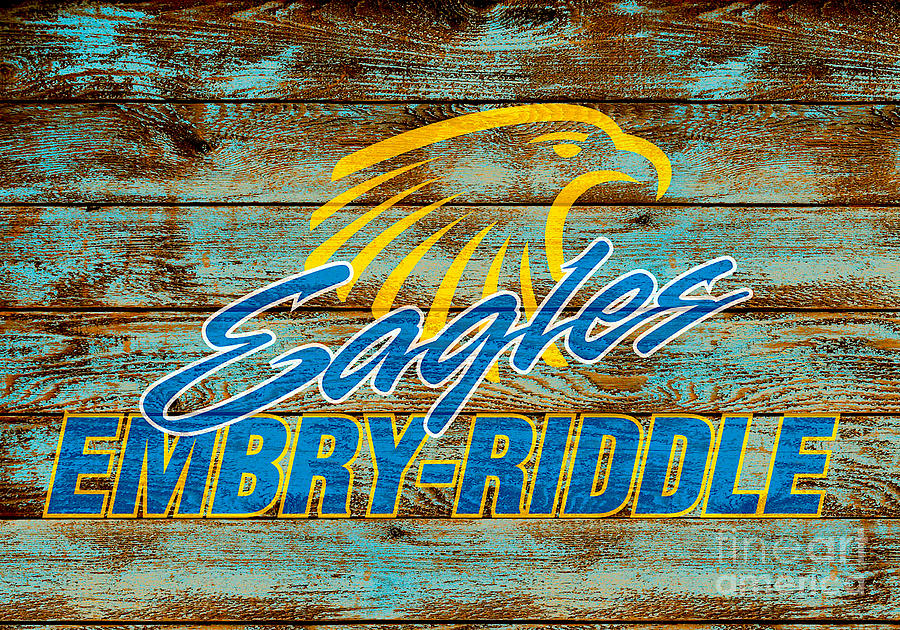 Embry Riddle Eagles Digital Art by Steven Parker