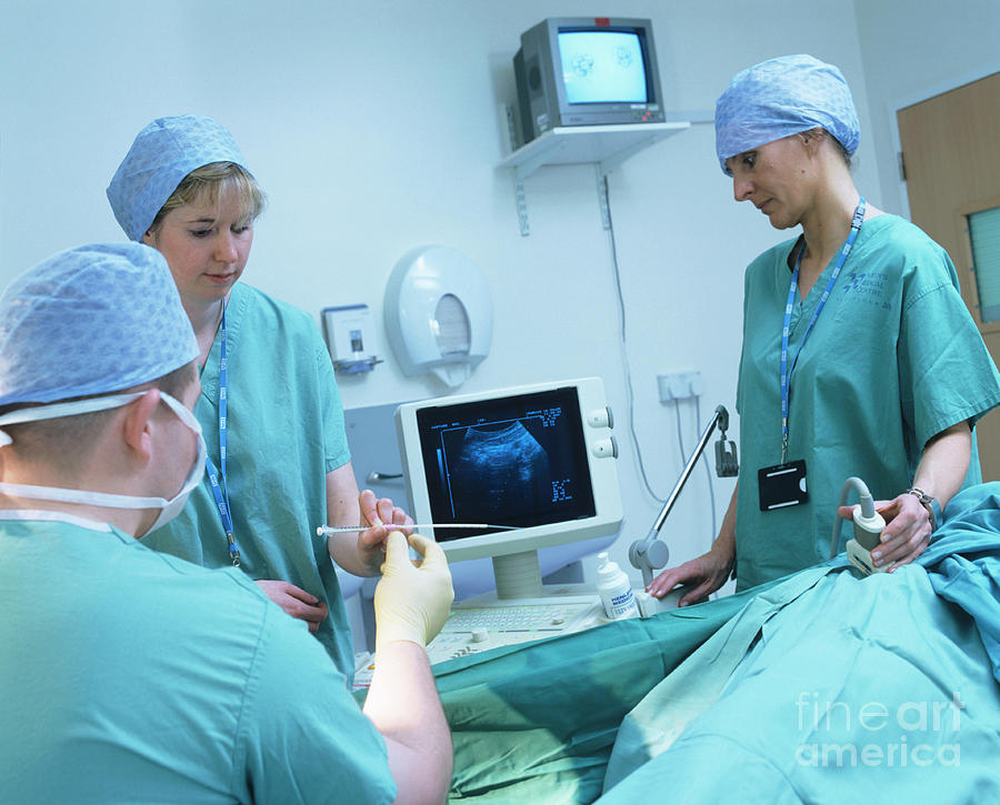 Embryo Transfer by John Mclean/science Photo Library