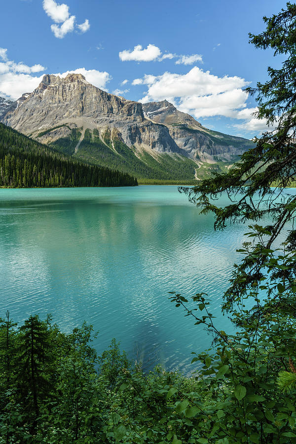 Emerald Lake Photograph by David Kulp - Fine Art America