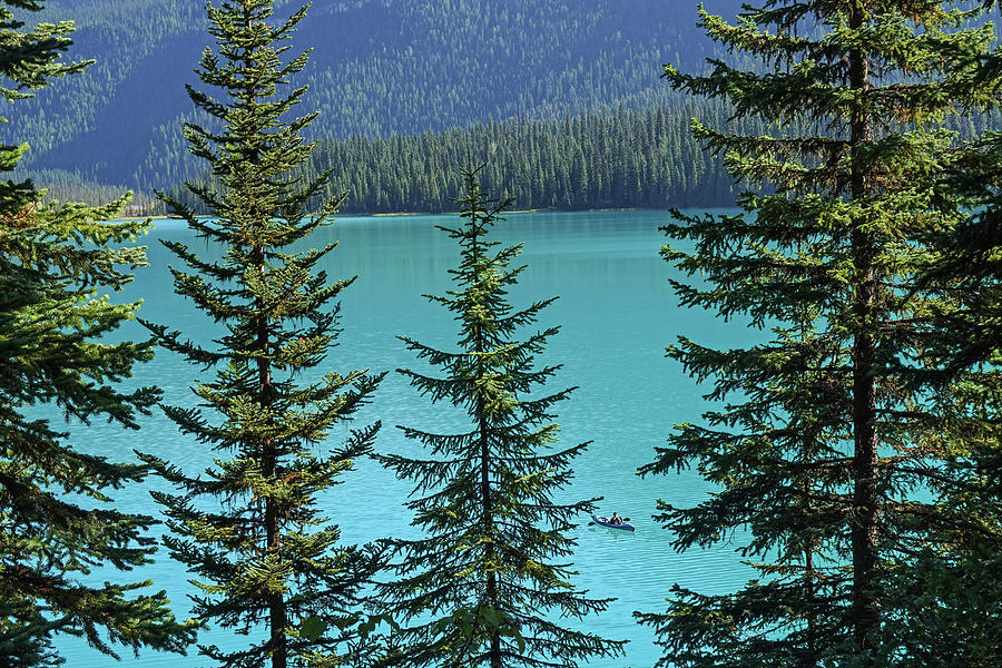 Emerald Lake Kayaking Beautiful Blue Water Yoho National Park British Columbia Canada Photograph by Toby McGuire
