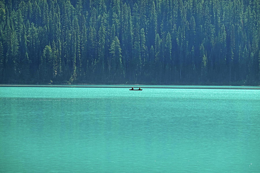 Emerald Lake Kayaking Beautiful Blue Water Yoho National Park British Columbia Canada Trees Photograph by Toby McGuire