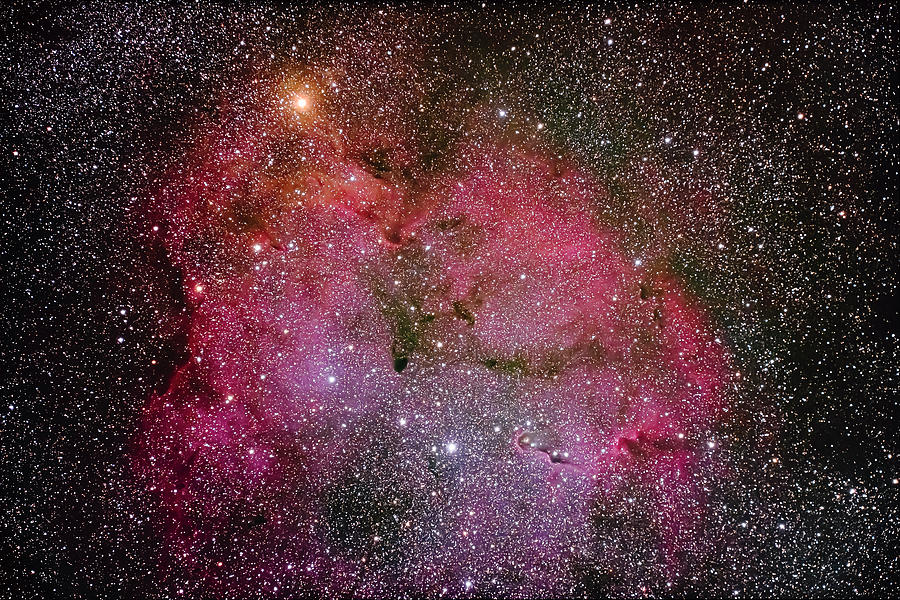 Space Photograph - Emission Nebula Ic 1396 In Cepheus by Alan Dyer